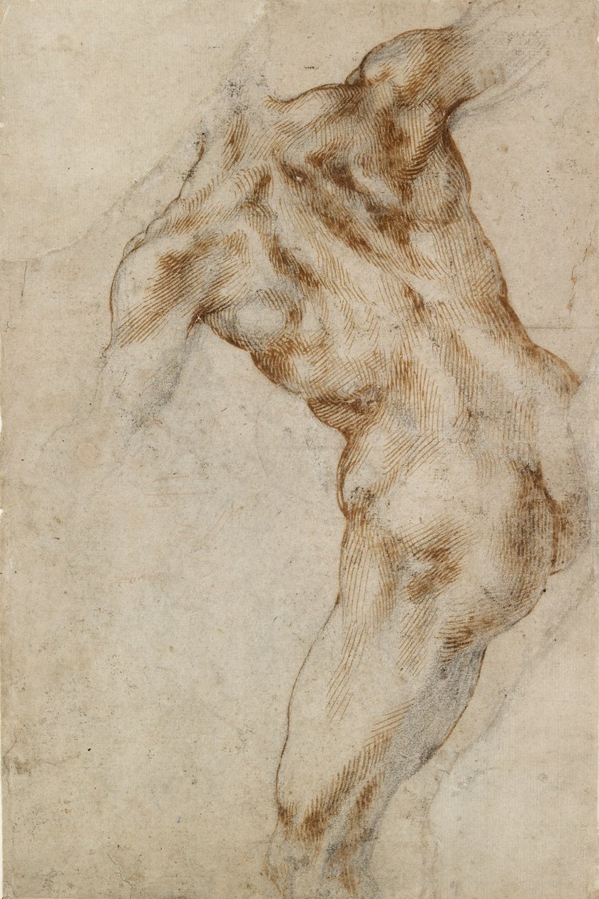 男性裸体躯干，16世纪初 作者 米开朗基罗（Michelangelo Buonarroti）