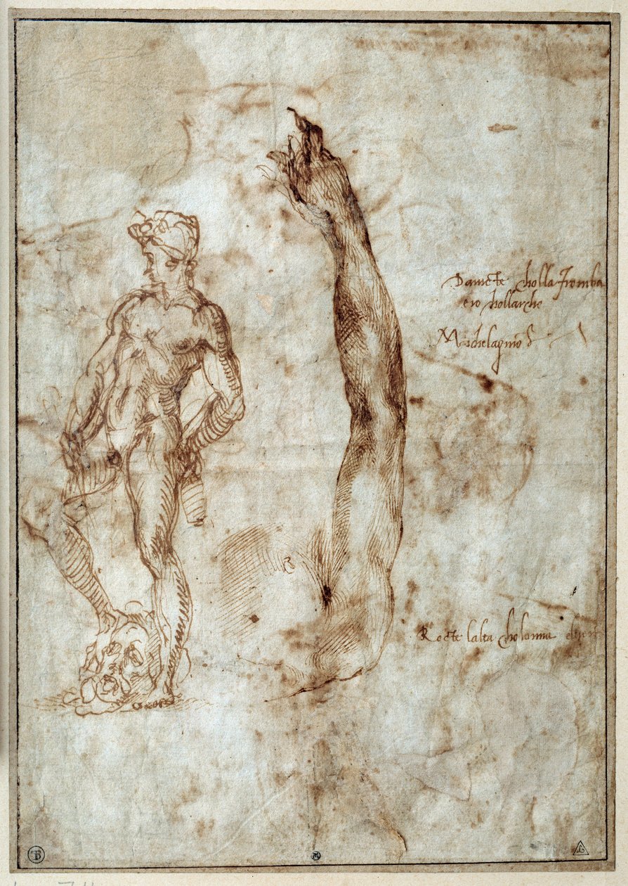 裸体学习。 Michelangelo Buonarroti dit Michelangelo (Michelangelo or Michel Ange 作者 米开朗基罗（Michelangelo Buonarroti）
