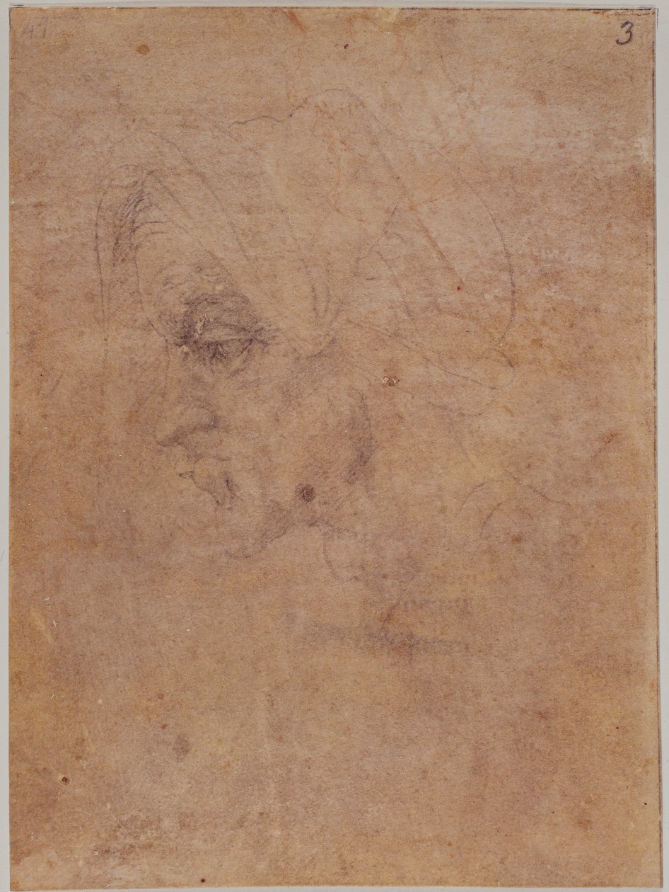 老妇人简介 作者 米开朗基罗（Michelangelo Buonarroti）