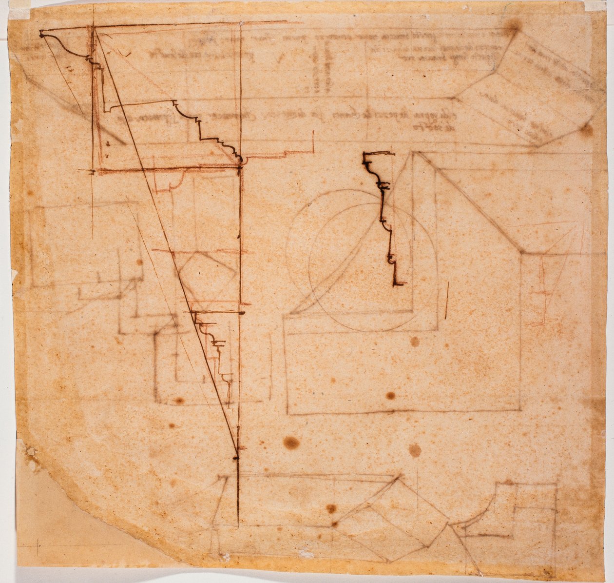 内墙轮廓 作者 米开朗基罗（Michelangelo Buonarroti）