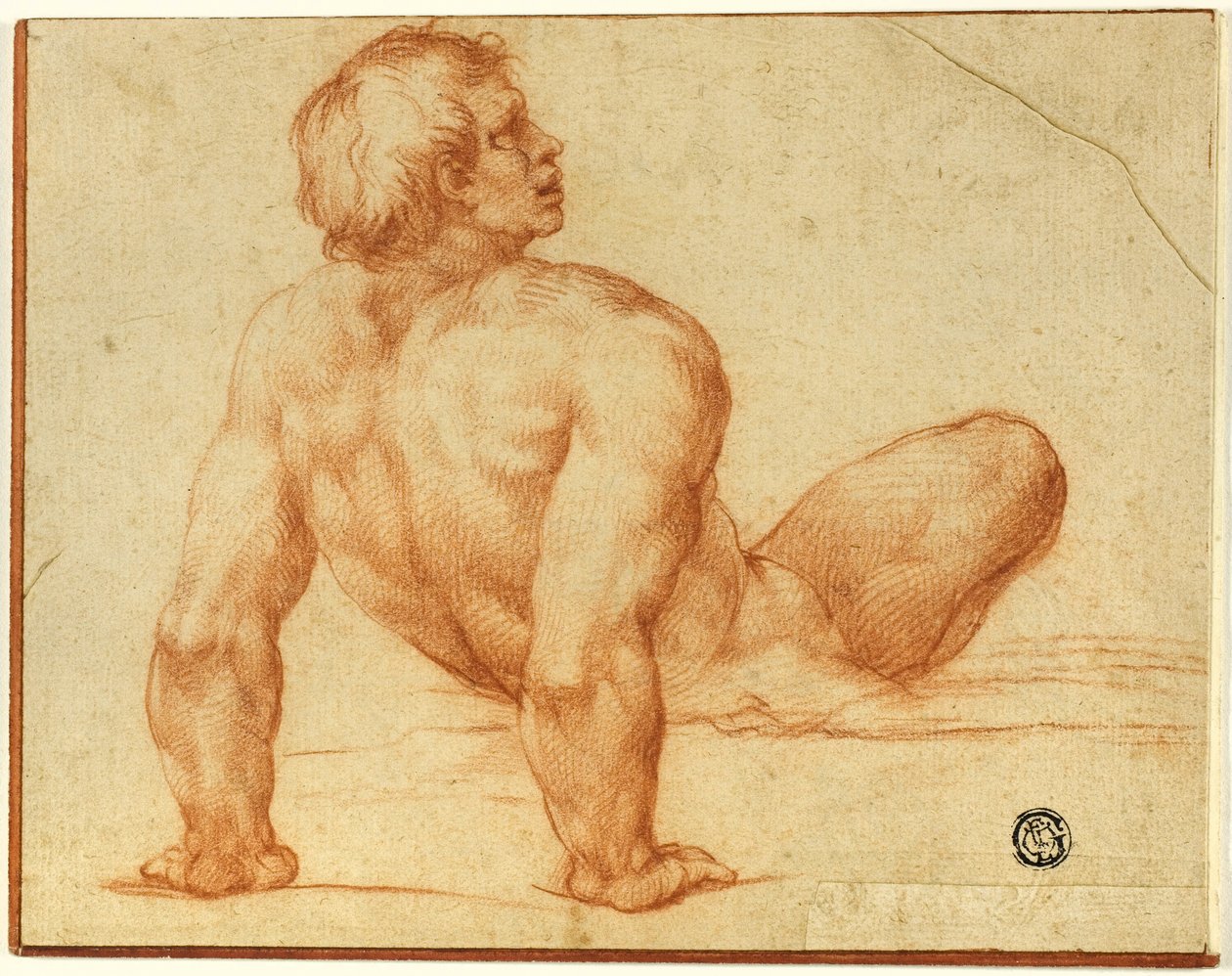 男性裸体坐姿 作者 米开朗基罗（Michelangelo Buonarroti）