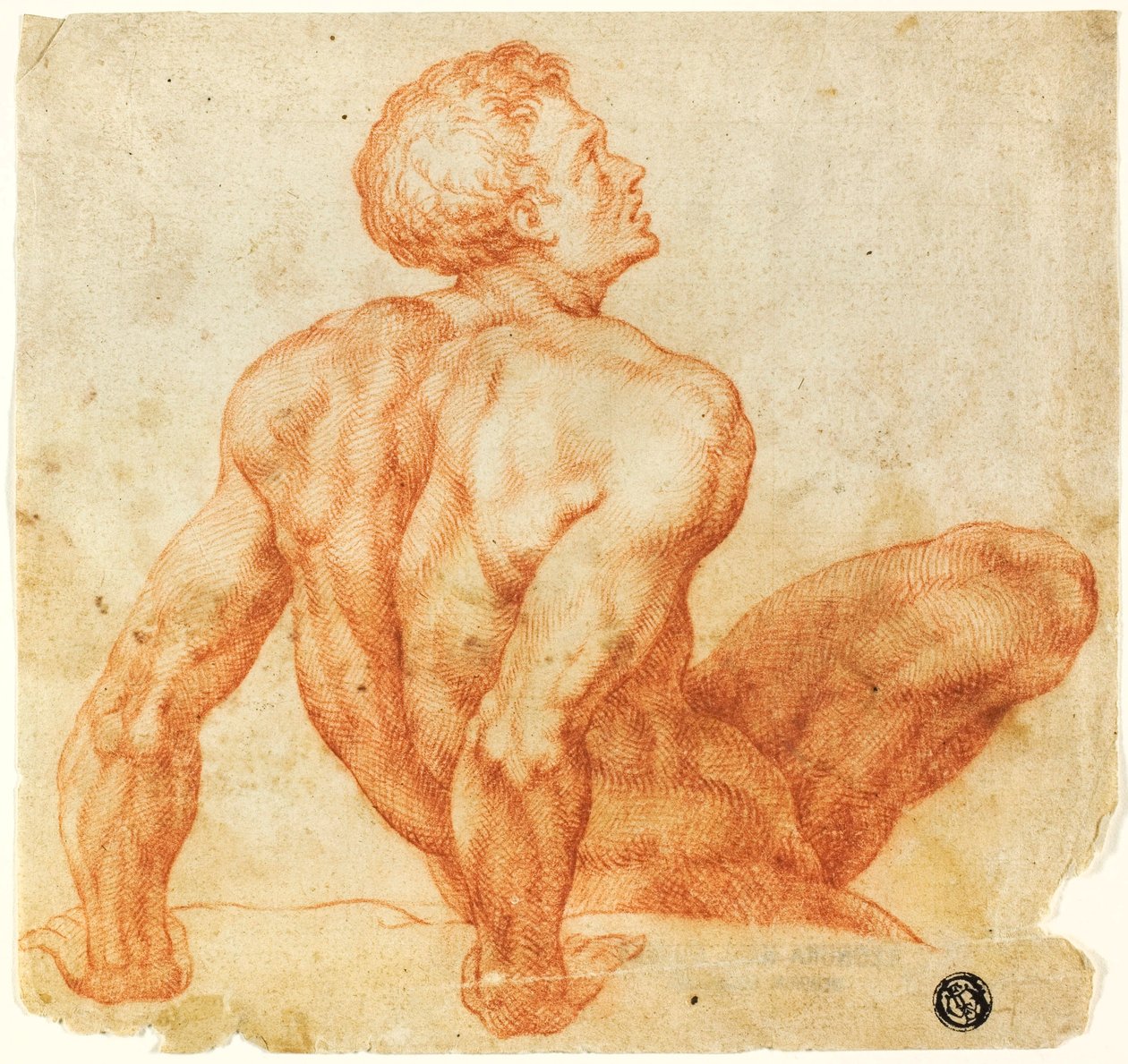 男性裸体坐姿 作者 米开朗基罗（Michelangelo Buonarroti）