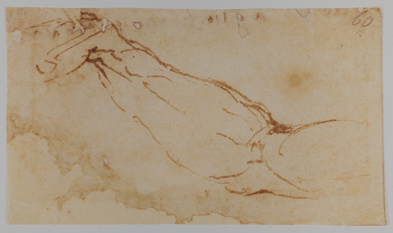 莱达》右臂草图，1528-1530 年（素描） 作者 米开朗基罗（Michelangelo Buonarroti）