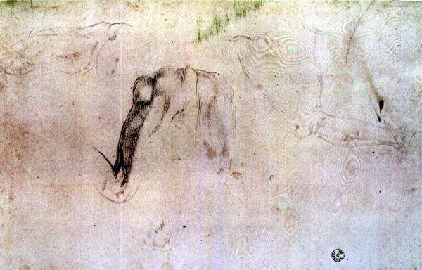 腿部素描（纸上炭笔画 作者 米开朗基罗（Michelangelo Buonarroti）