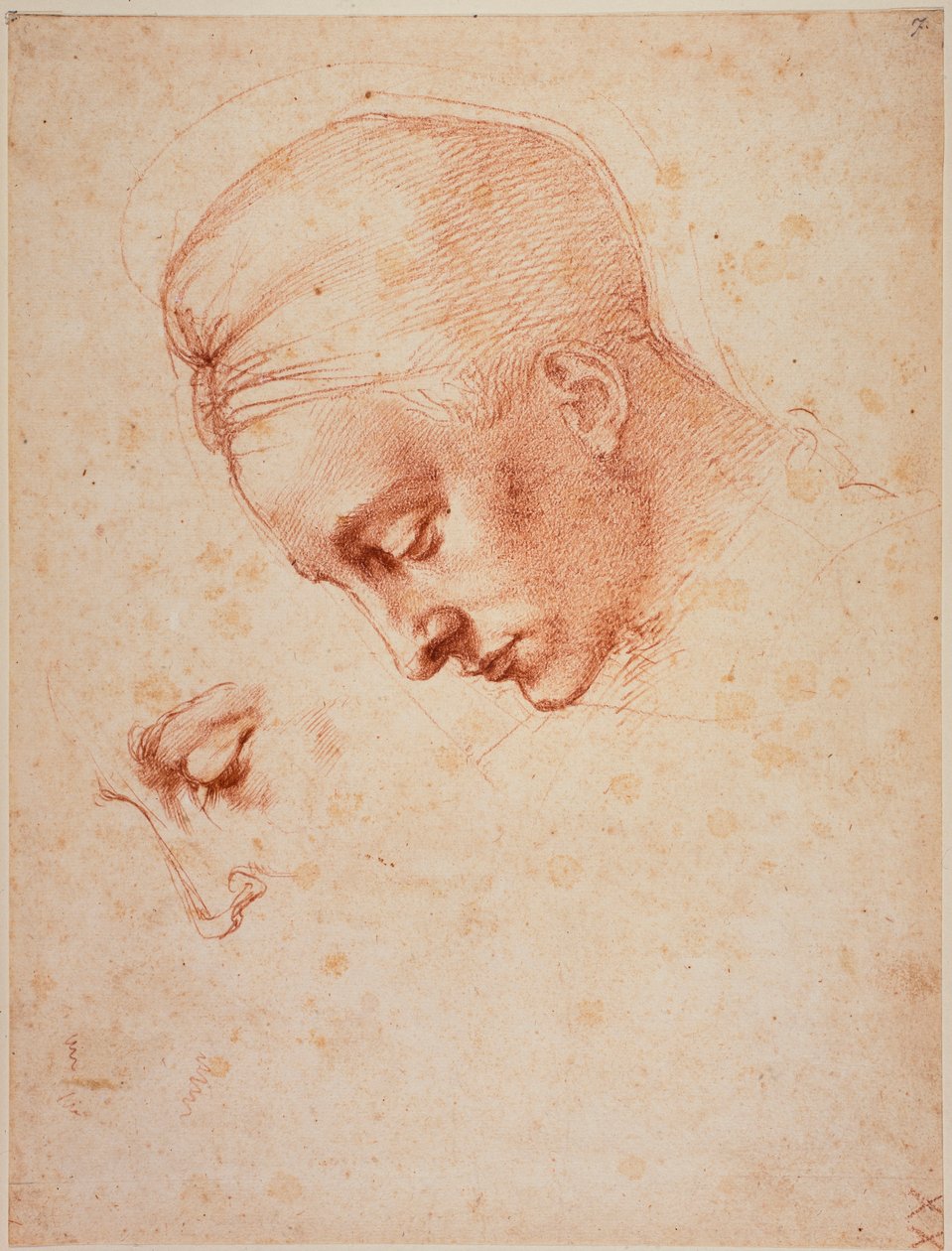 对 "勒达 "头像的研究 作者 米开朗基罗（Michelangelo Buonarroti）
