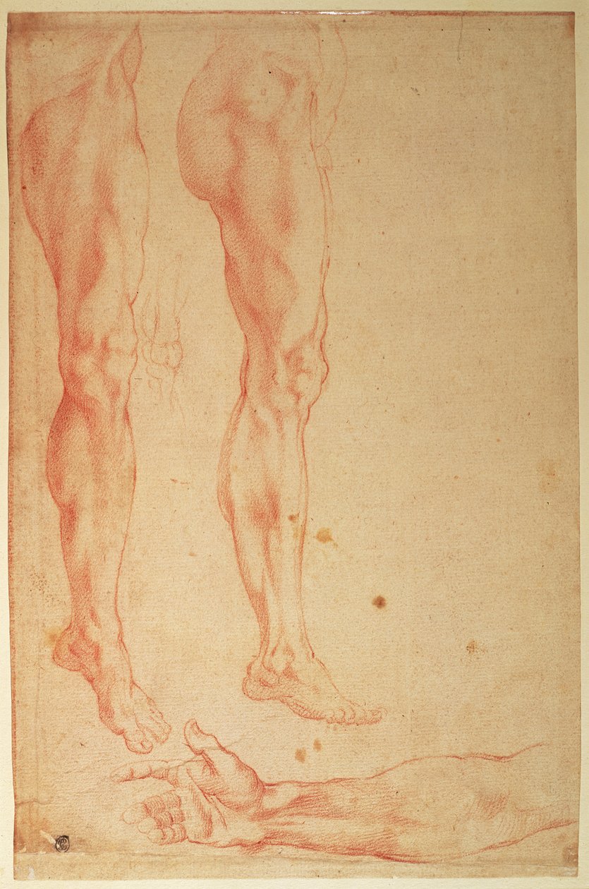 腿和手臂的研究（纸上的红色粉笔） 作者 米开朗基罗（Michelangelo Buonarroti）