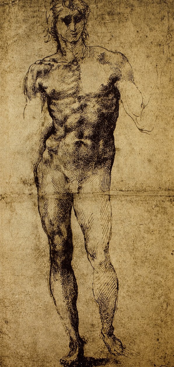 研究男性裸体，米开朗基罗·博纳罗蒂（1475-1564），绘画，巴黎，卢浮宫博物馆 作者 米开朗基罗（Michelangelo Buonarroti）