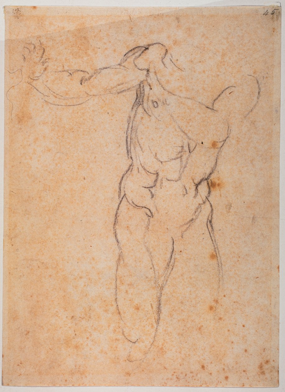 西斯廷礼拜堂亚当 "被驱逐出帕迪索 "的研究 作者 米开朗基罗（Michelangelo Buonarroti）