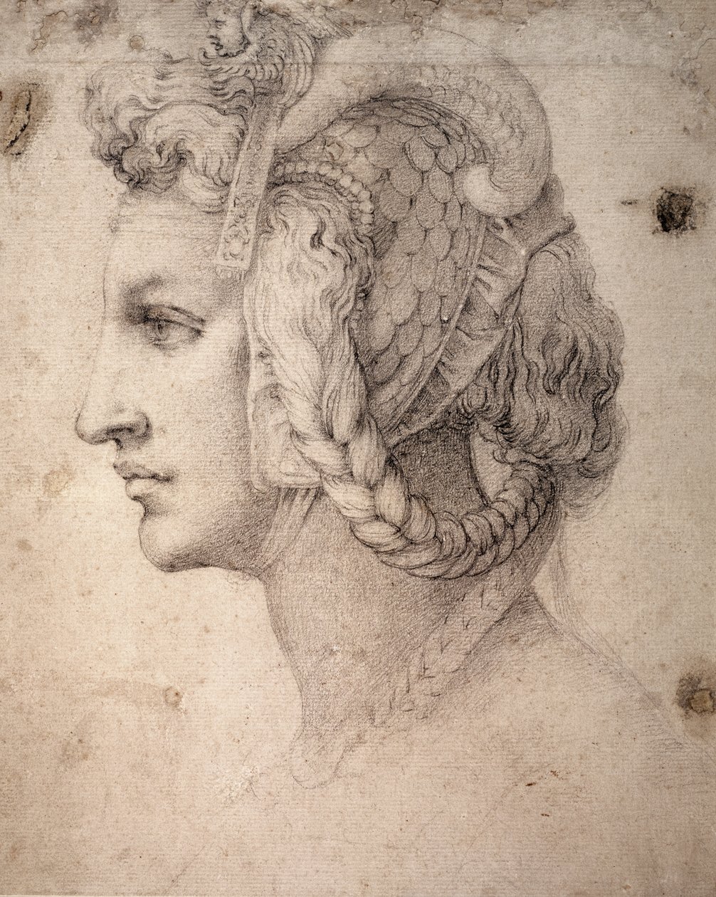 头脑研究 作者 米开朗基罗（Michelangelo Buonarroti）