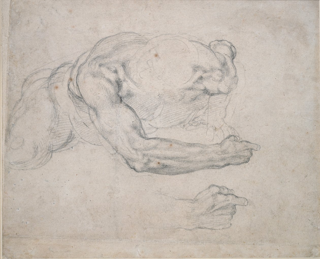 一个人从地上站起来的研究，16世纪 作者 米开朗基罗（Michelangelo Buonarroti）