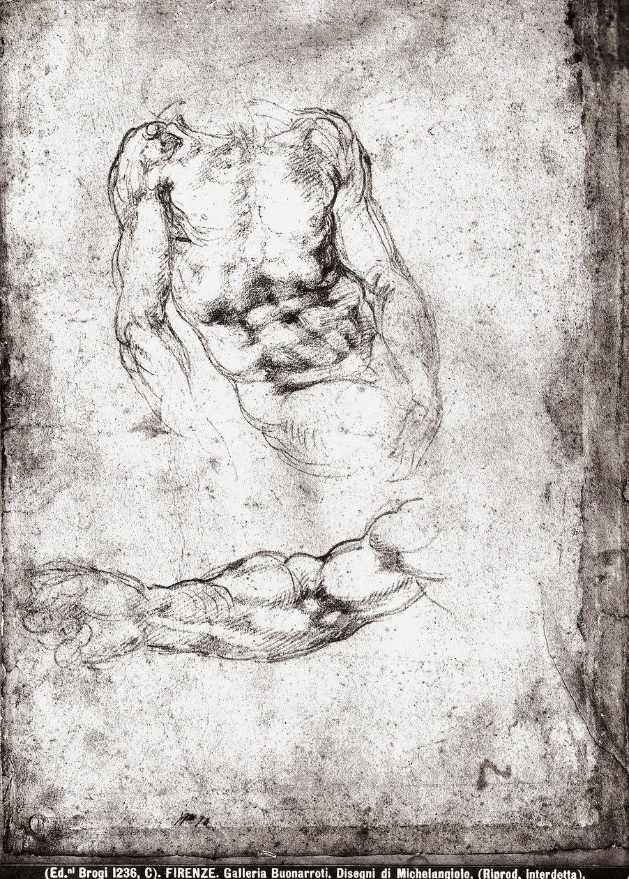 研究男性躯干和手臂 作者 米开朗基罗（Michelangelo Buonarroti）