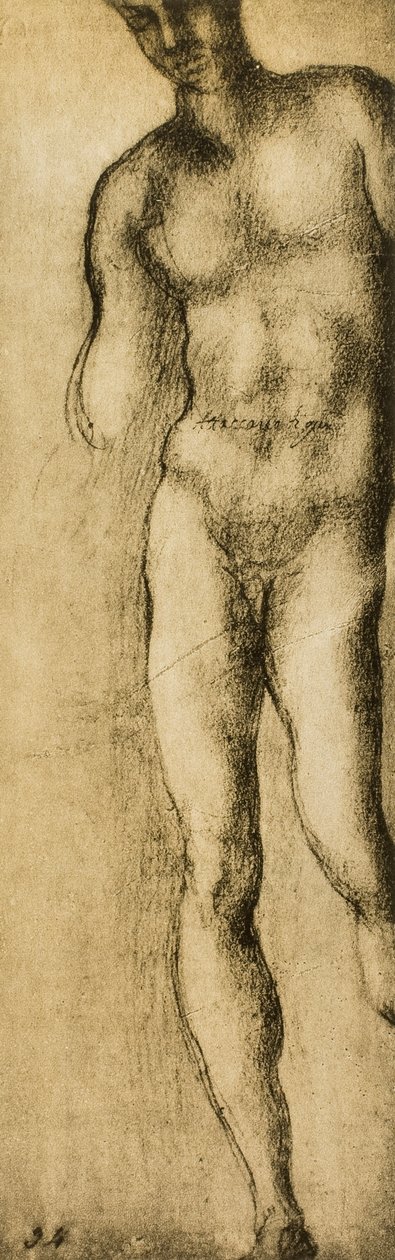 研究由米开朗基罗绘制的男性形象。 Casa Buonarroti，佛罗伦萨 作者 米开朗基罗（Michelangelo Buonarroti）