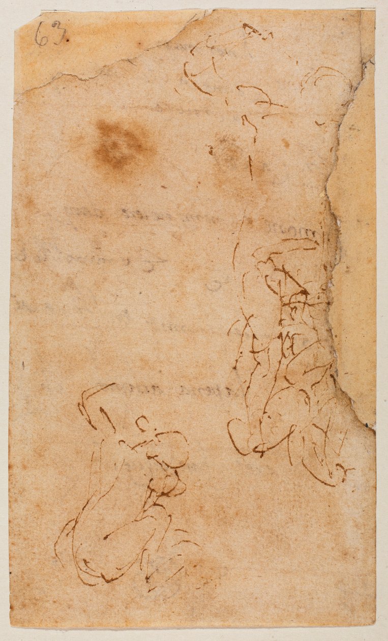 数字研究 作者 米开朗基罗（Michelangelo Buonarroti）