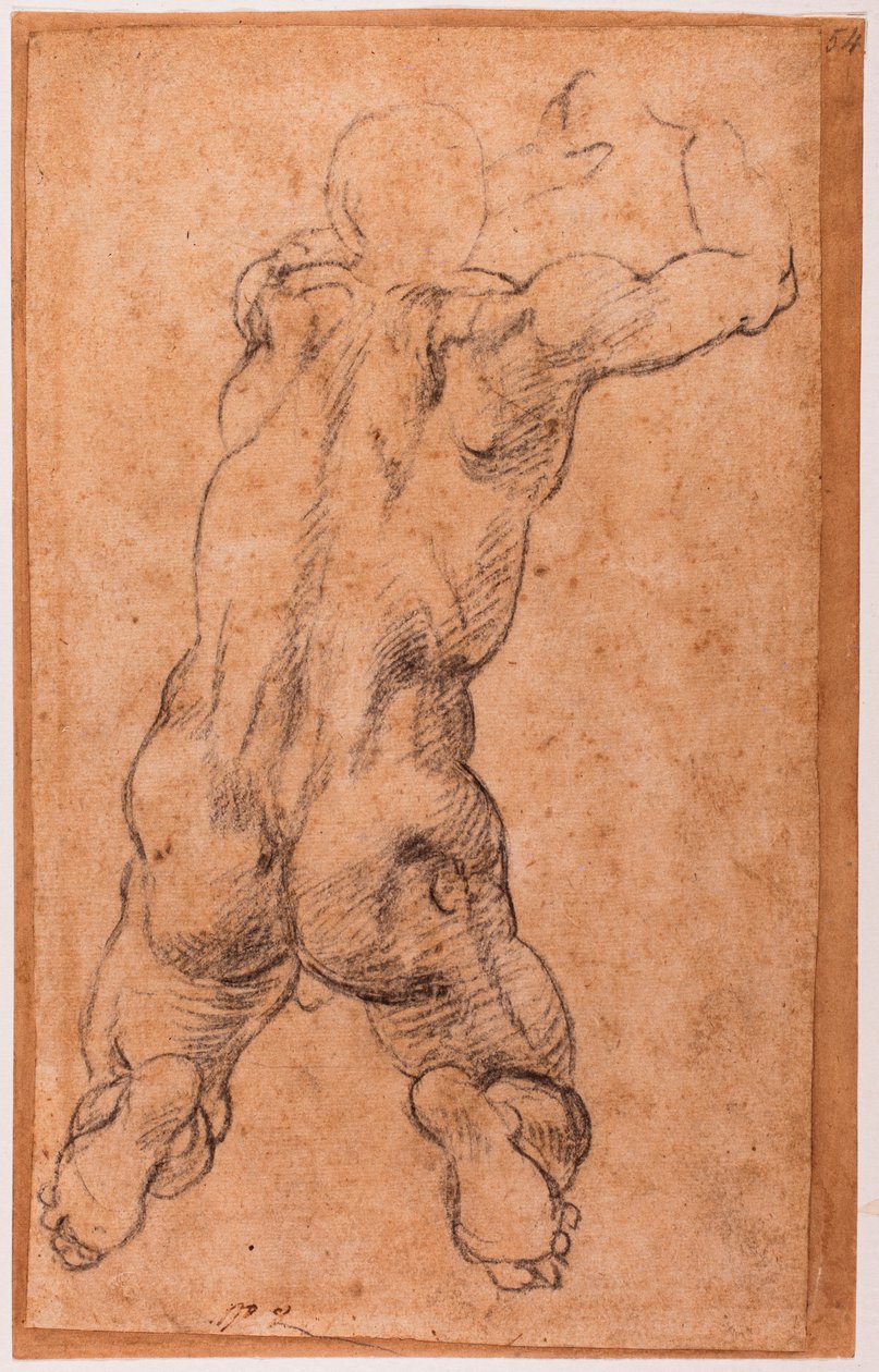 男性裸体跪姿研究 作者 米开朗基罗（Michelangelo Buonarroti）