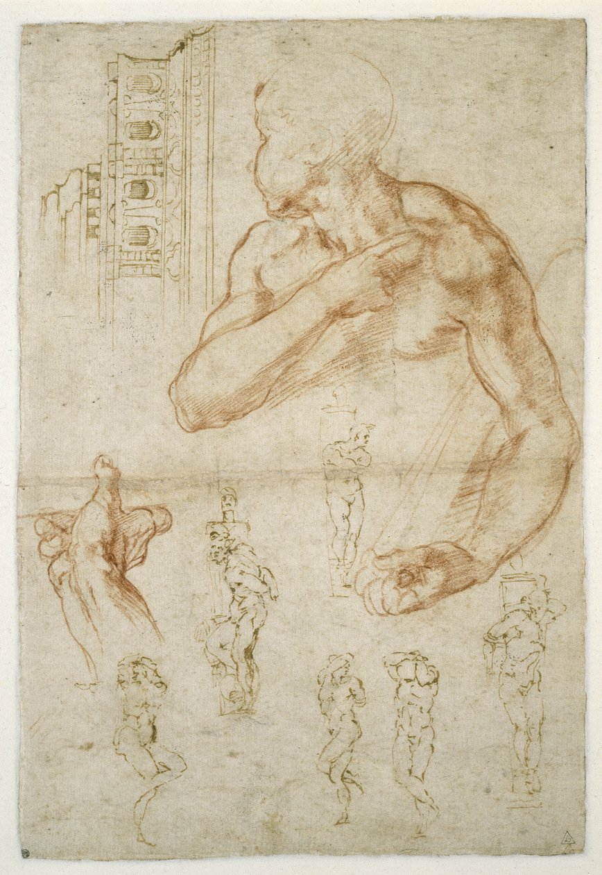 关于利比亚Sibyl协助图的研究，c.1512（红色粉笔和笔在纸上） 作者 米开朗基罗（Michelangelo Buonarroti）