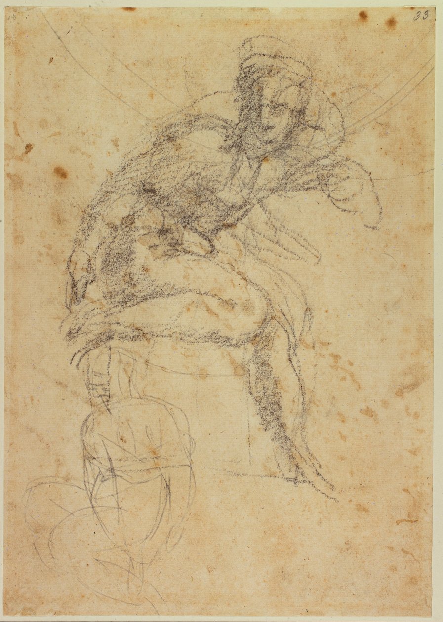 两幅西斯廷裸体画的研究 作者 米开朗基罗（Michelangelo Buonarroti）