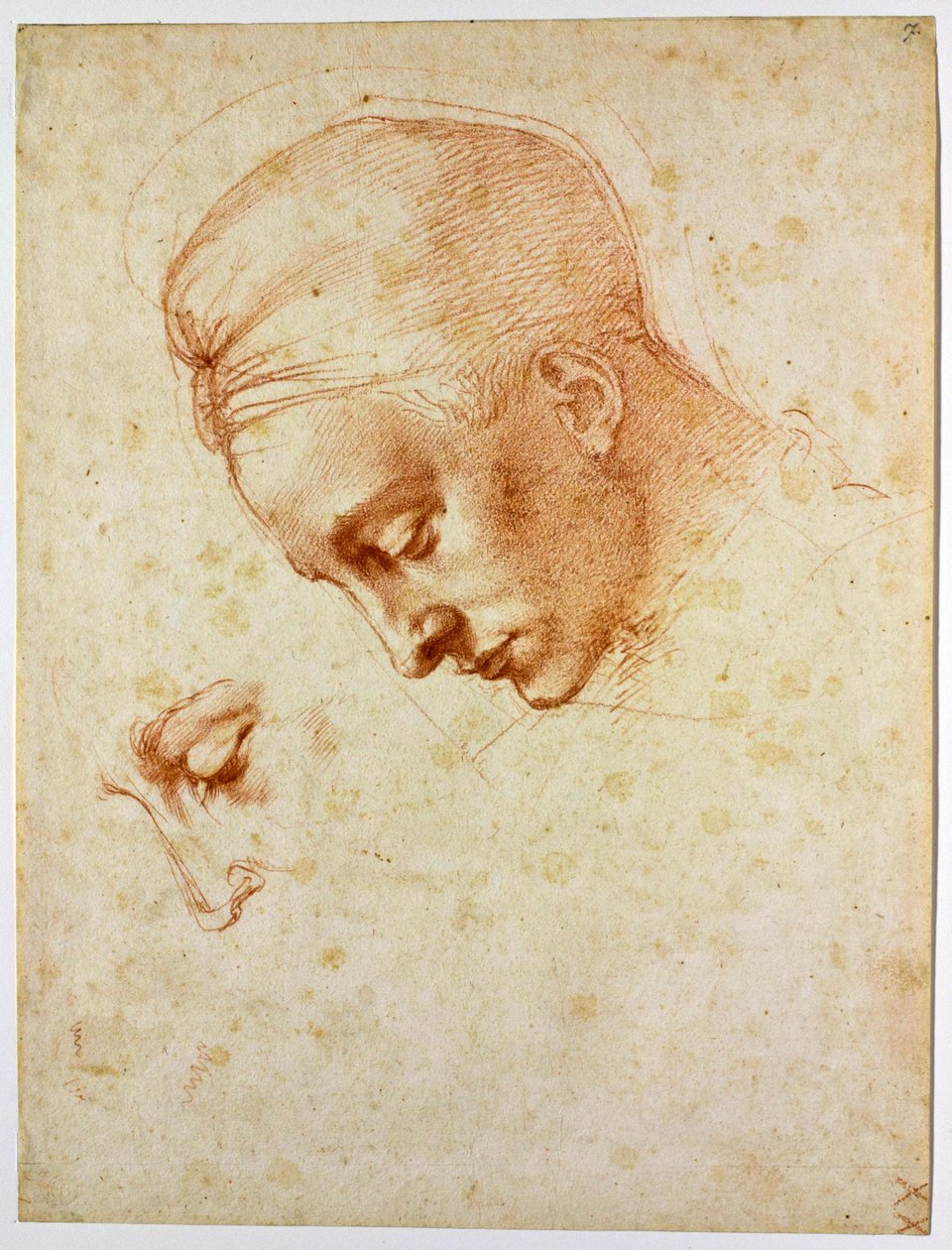 研究Leda的头部，大约1530年 作者 米开朗基罗（Michelangelo Buonarroti）