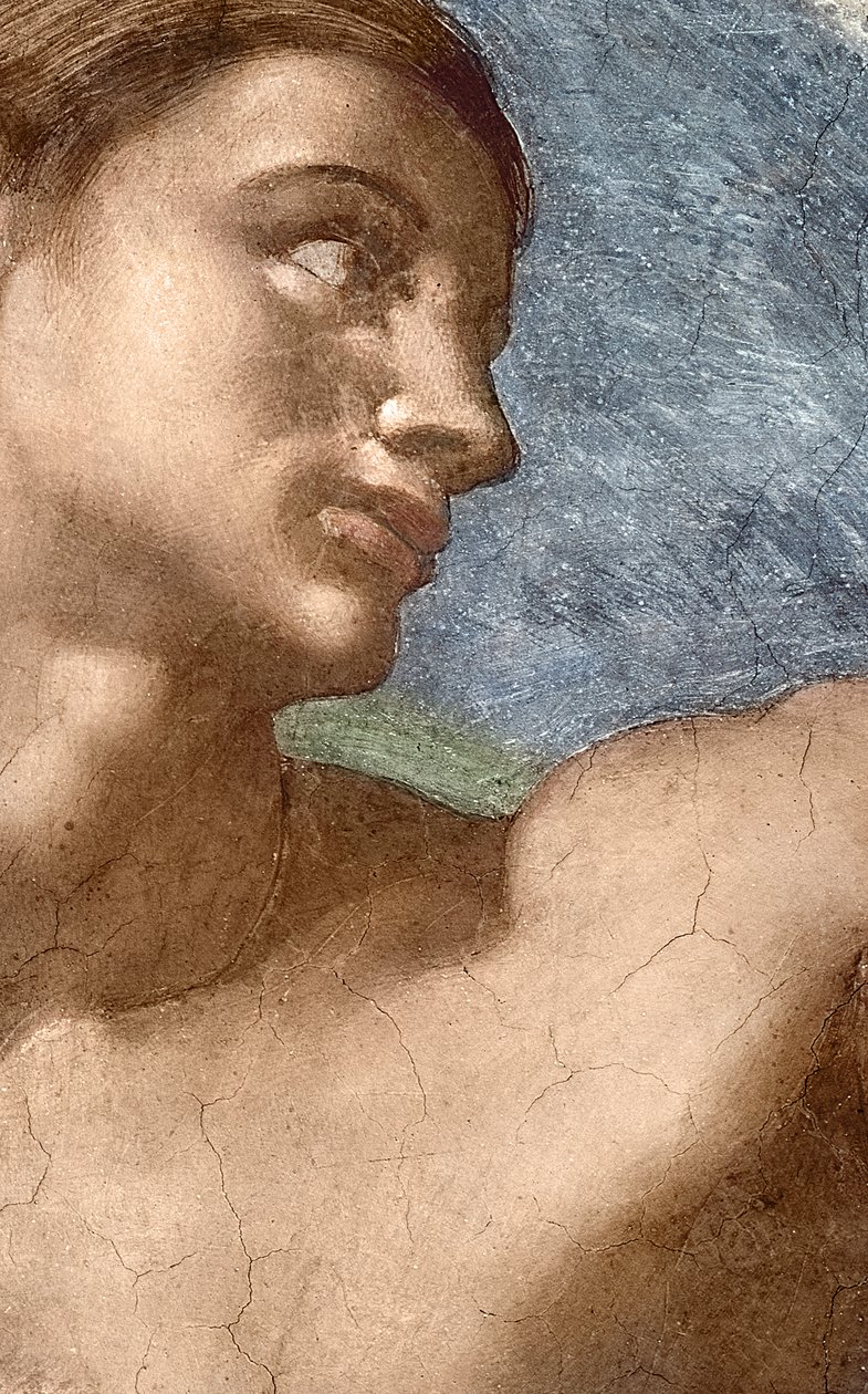 创造亚当》，亚当的头部细节 作者 米开朗基罗（Michelangelo Buonarroti）