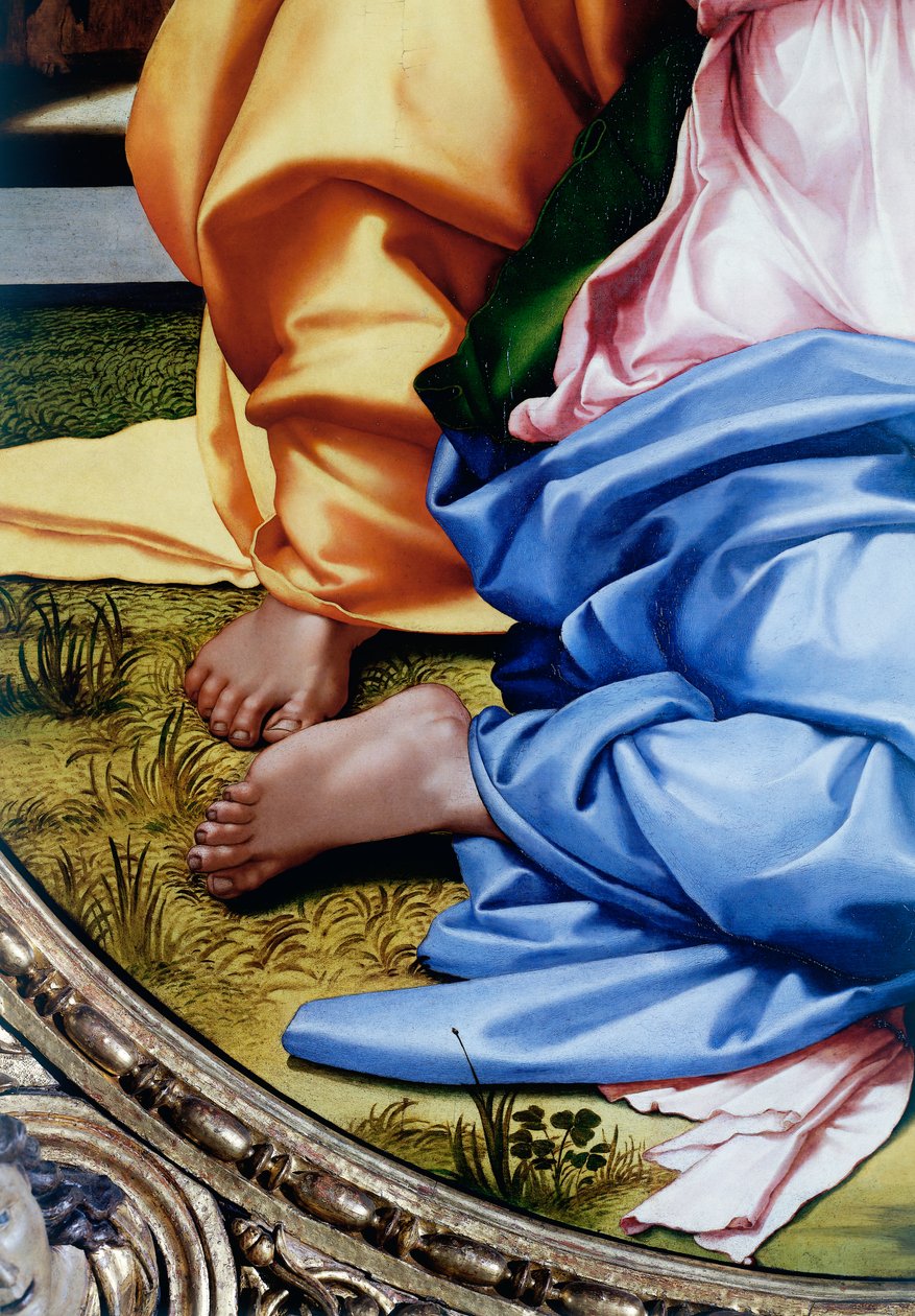 神圣家庭或Tondo Doni，脚的细节 作者 米开朗基罗（Michelangelo Buonarroti）