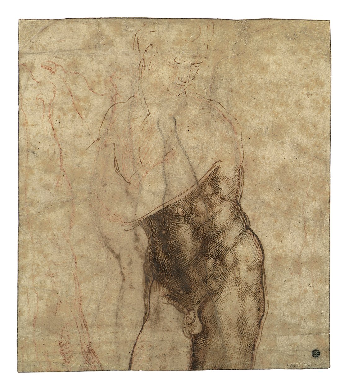 复活的基督，四分之三长的裸体，从右边往下看 作者 米开朗基罗（Michelangelo Buonarroti）
