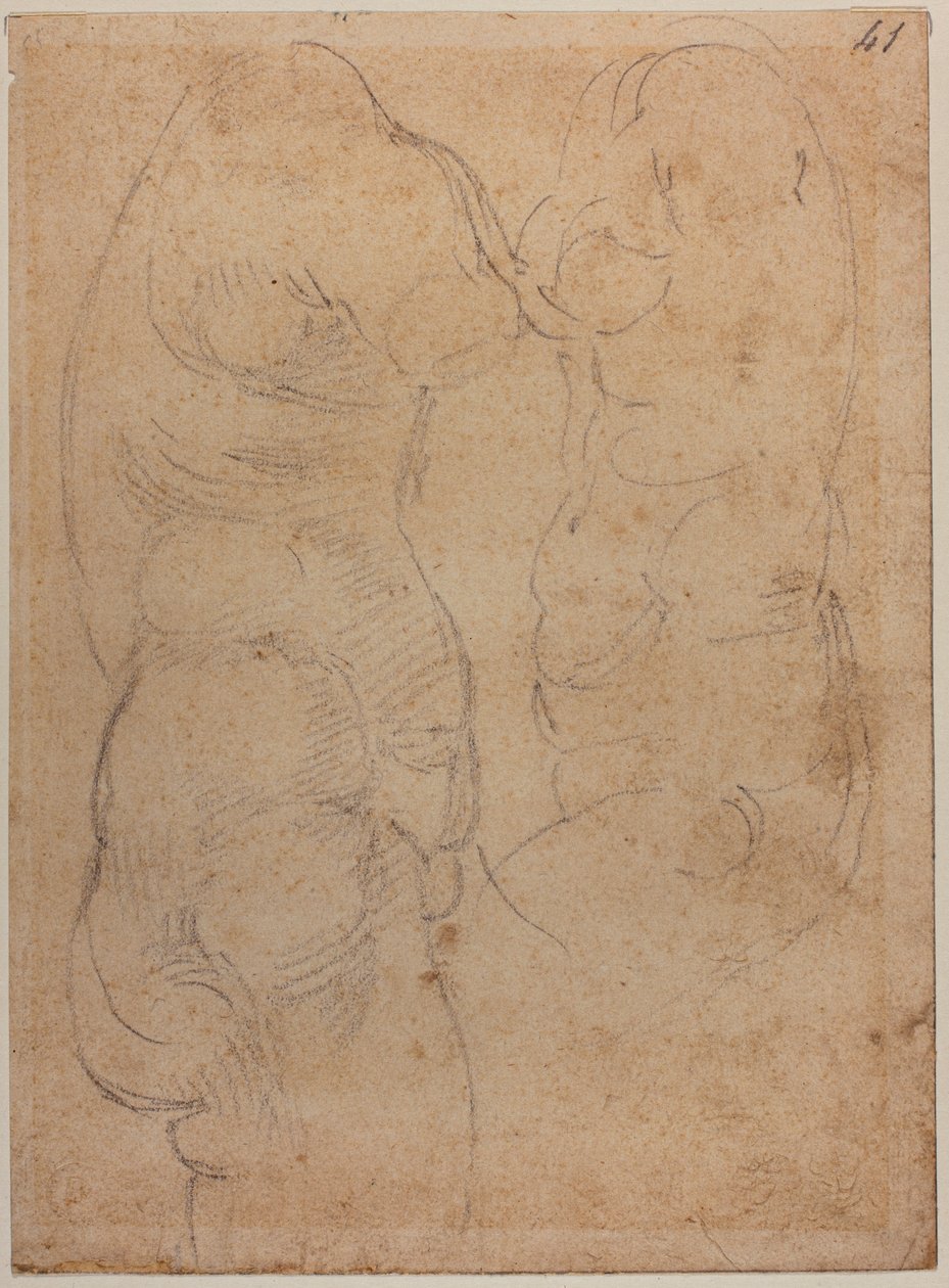 对古代维纳斯的两项研究 作者 米开朗基罗（Michelangelo Buonarroti）