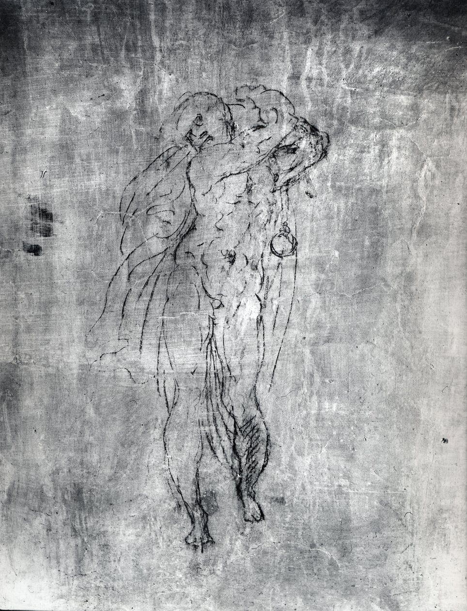 墙上画的男性人物，c.1530（石膏上的木炭） 作者 米开朗基罗（Michelangelo Buonarroti）