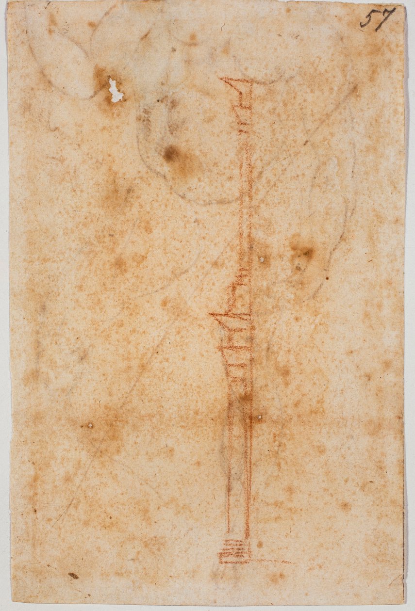 墙面剖面 作者 米开朗基罗（Michelangelo Buonarroti）