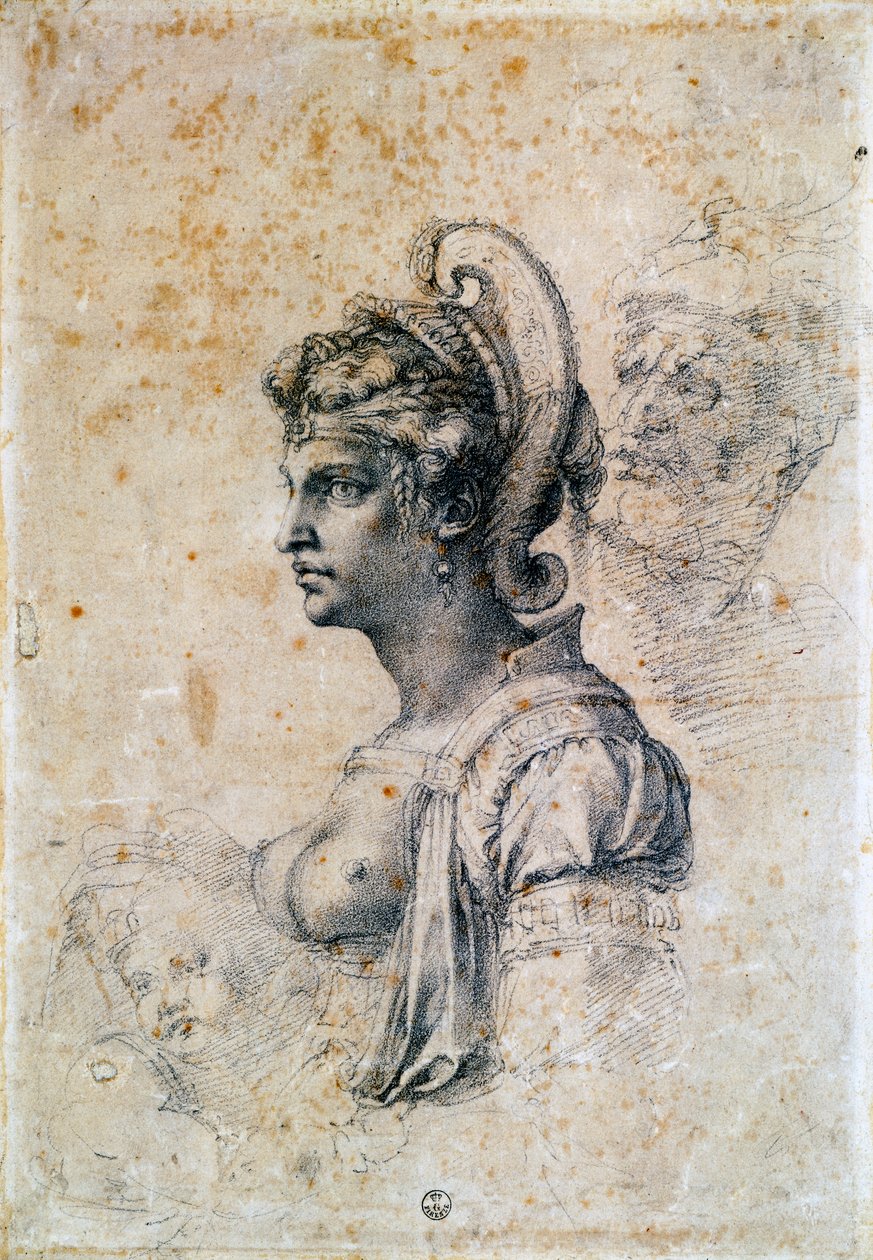 泽诺比亚 作者 米开朗基罗（Michelangelo Buonarroti）