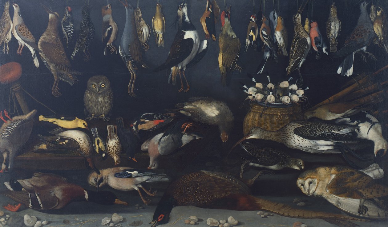 哈特福德静物画大师的《鸟的静物》（布面油画 作者 米开朗基罗·梅里西·达·卡拉瓦乔