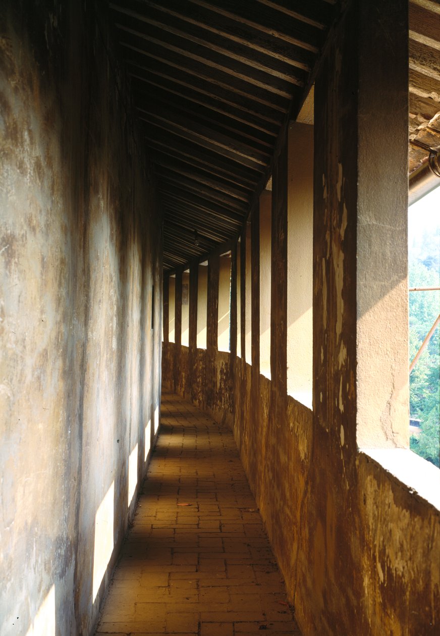 阳台，Villa Medicea of Careggi 作者 米歇洛佐·迪·巴托洛梅奥