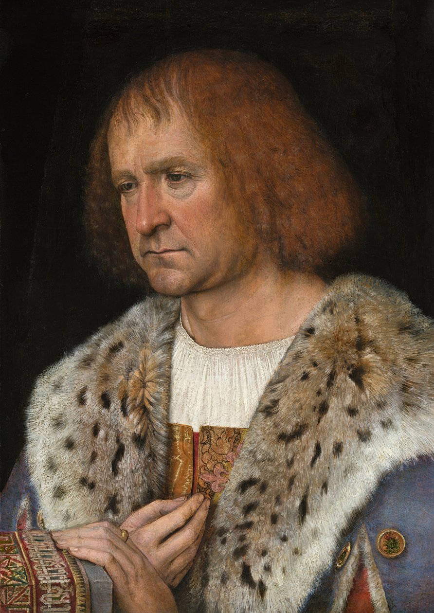 Diego de Guevara的肖像，1515-18 作者 米歇尔·西托（Michiel Sittow）