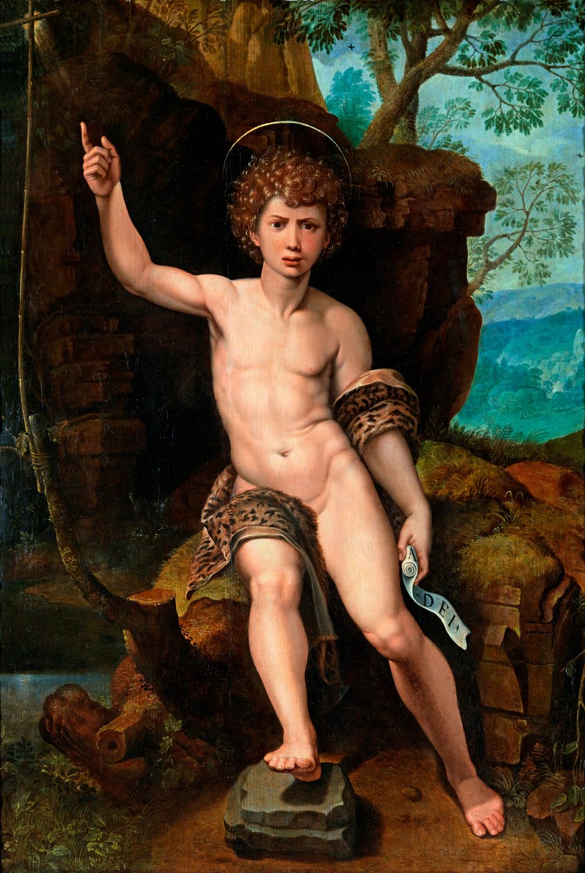 ““施洗者圣约翰的表现”（施洗者圣约翰）迈克尔·考西 (Michiel Coxien) 绘画 (De Coxien, De Coxcie, Coxius, Van Coxcie and Coxie) (1499-1592) 16 世纪木版油彩 104x73厘米私人收藏 作者 Michiel I Coxie或Coxcie