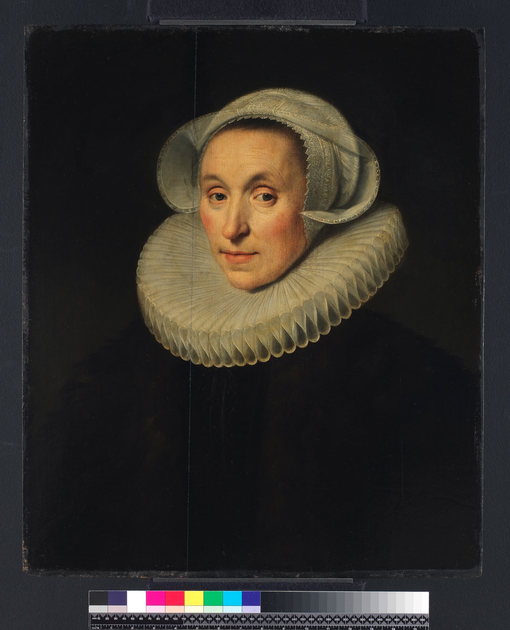 夫人的画像，1615年 作者 米歇尔·詹斯（Michiel Jansz）。范·米耶维德