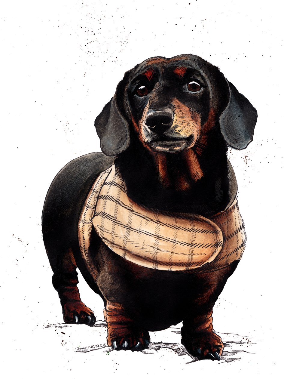 亚瑟腊肠犬白色，2019 作者 迈克·戴维斯