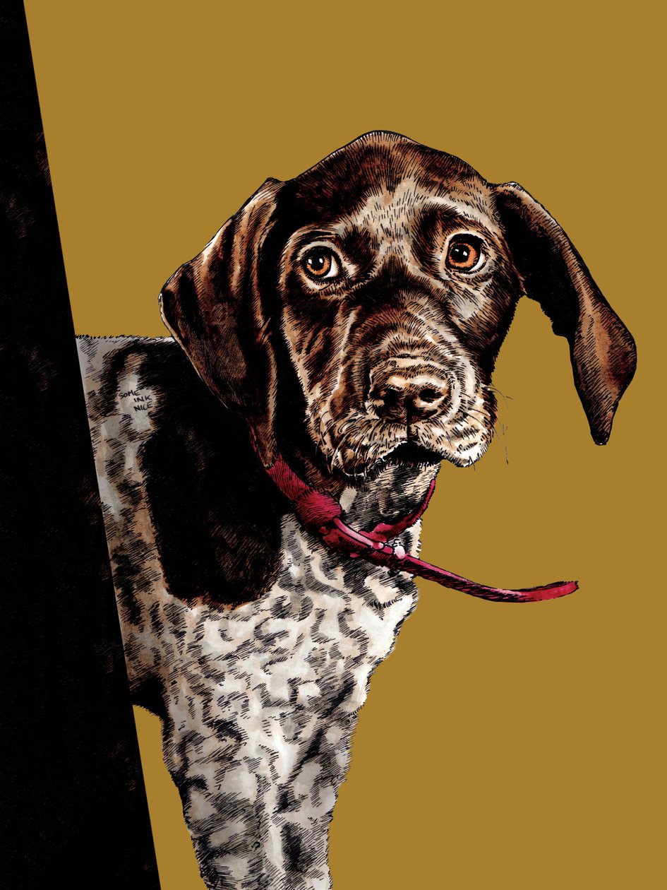Bye Bye Puppy on Golden Yellow, 2020 作者 迈克·戴维斯