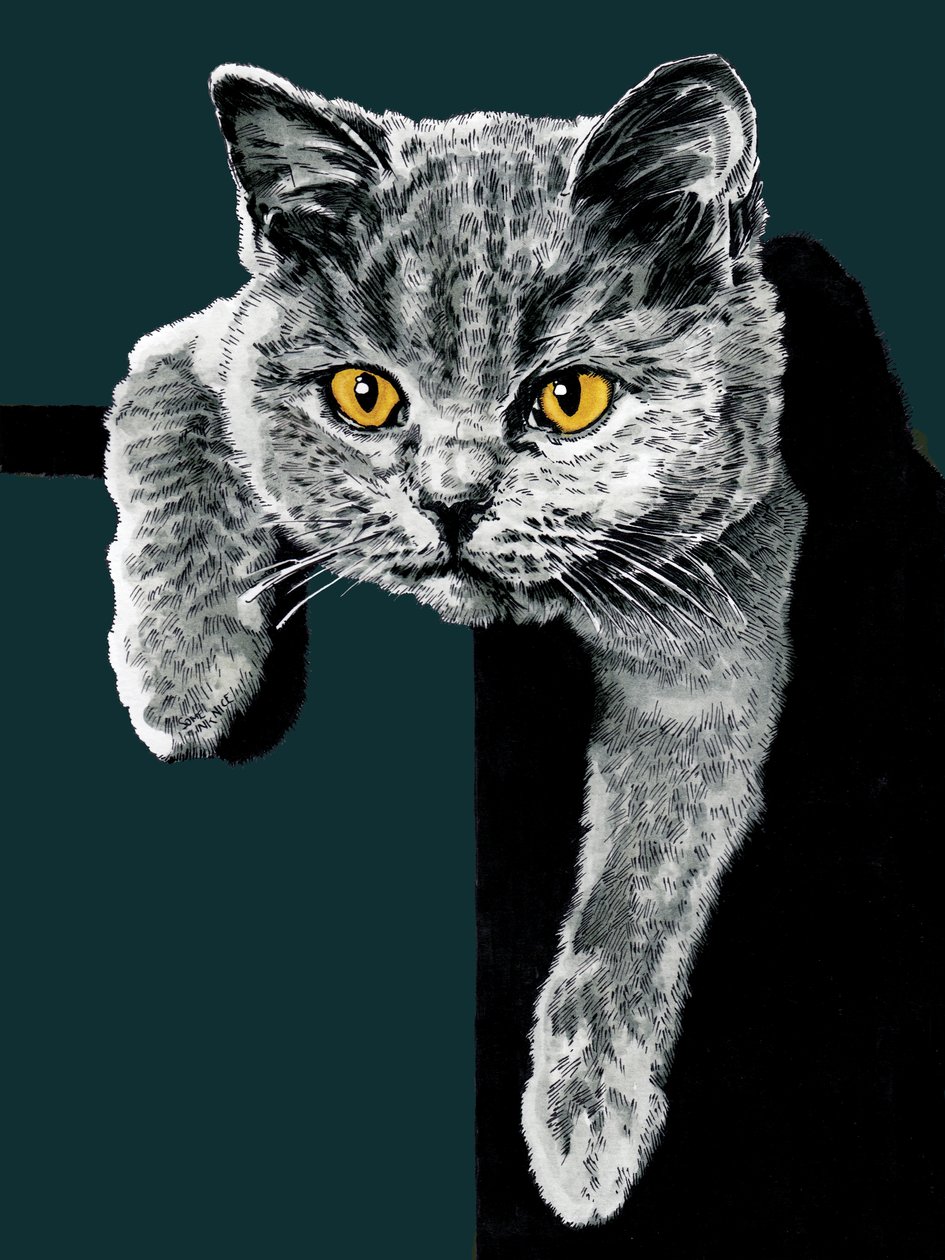 深青色的小猫弗洛拉，2020 年 作者 迈克·戴维斯