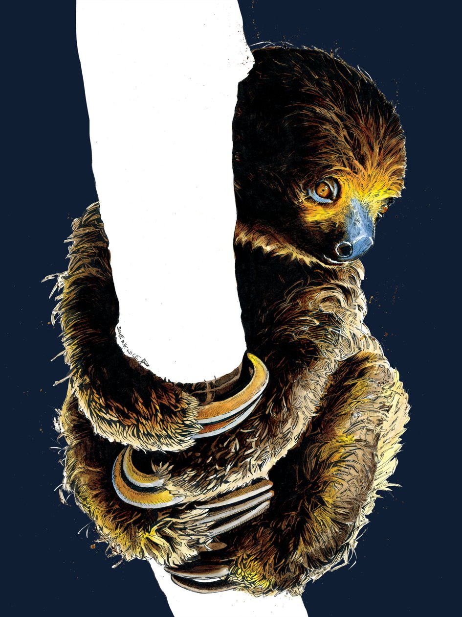 树懒塔莉塔 (Talita The Sloth) 午夜蓝，2020 作者 迈克·戴维斯