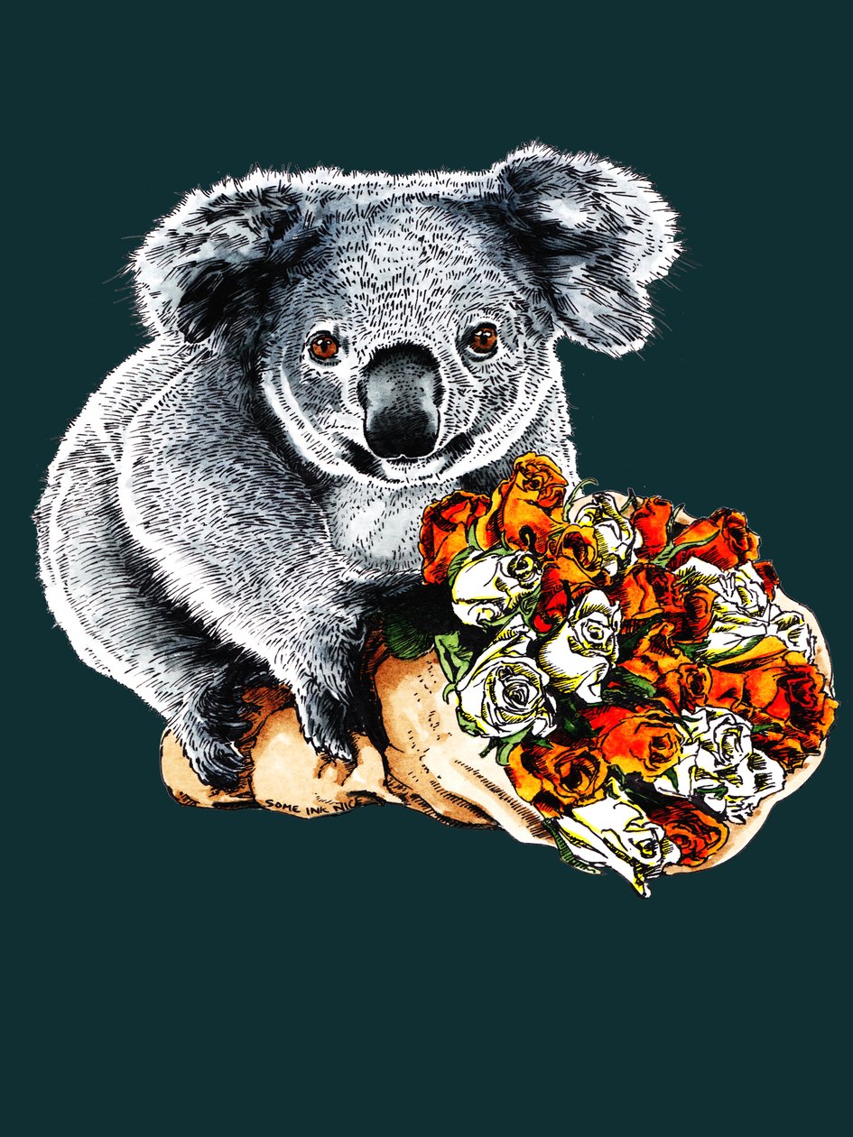 感谢 Koala on Deep Cyan，2020 年 作者 迈克·戴维斯