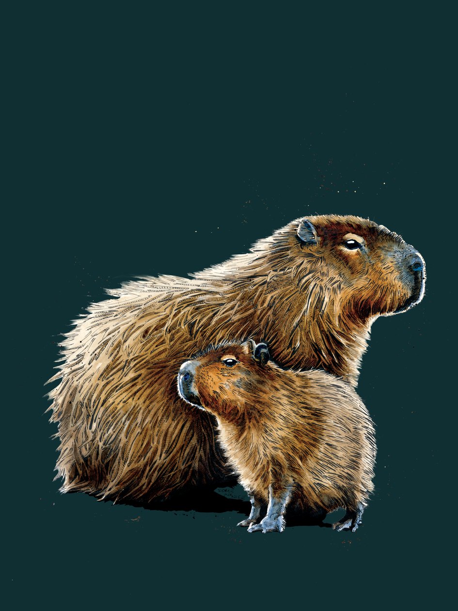 2020 年，深 Cyan 上的 "纸扎人"（Capybaras）。 作者 迈克·戴维斯