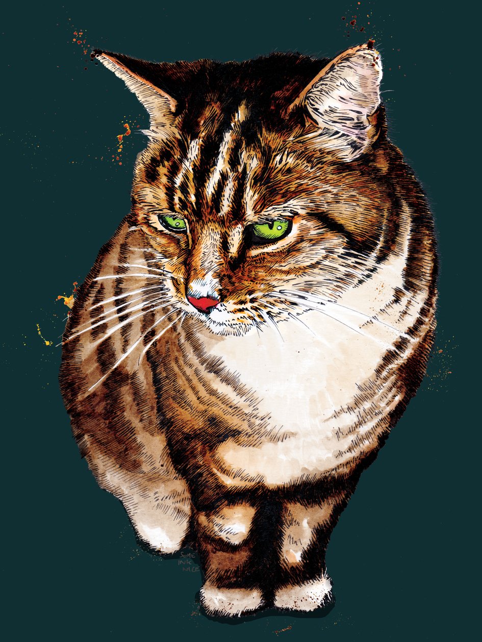 深青色的虎皮猫，2020 年 作者 迈克·戴维斯