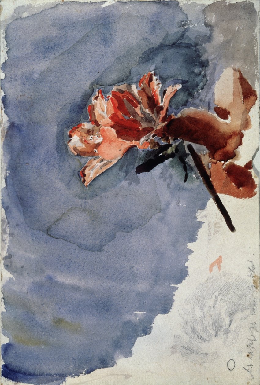 红色杜鹃花（1886-1887） 作者 米哈伊尔·亚历山德罗维奇·弗鲁贝尔