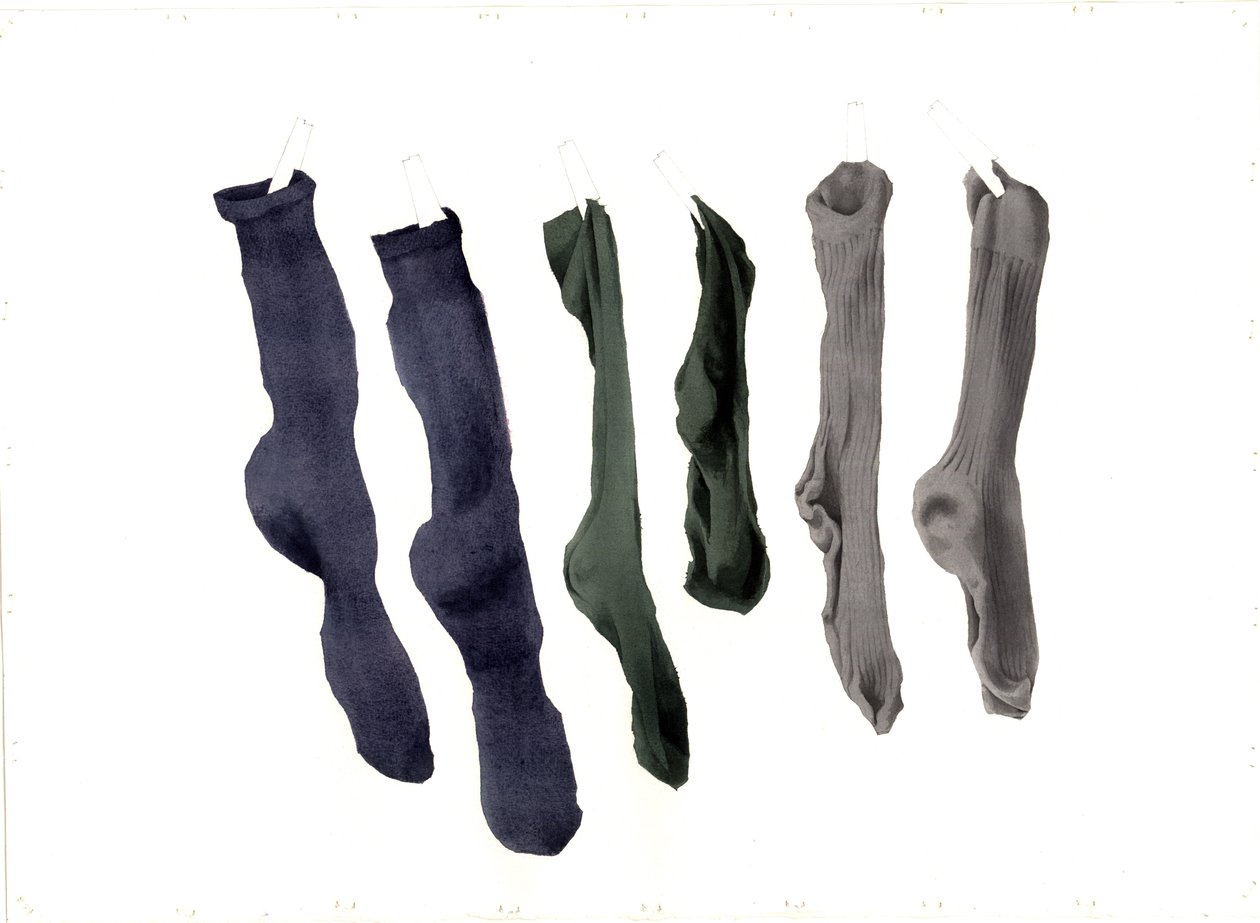 六袜子，2003年（纸上wc） 作者 迈尔斯当代艺术家Thistlethwaite