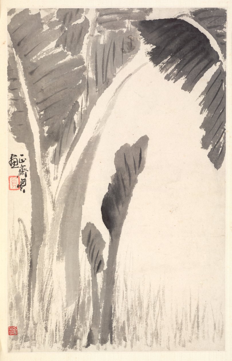 香蕉植物 作者 敏珍