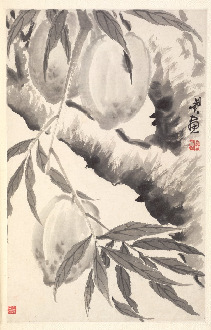 桃子，1788年。 作者 敏珍