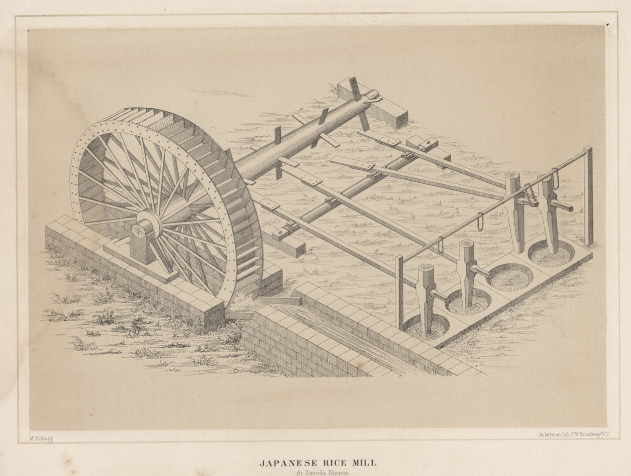 Simoda Nippon的日本碾米厂，1855年 作者 矿工基尔伯恩·凯洛格