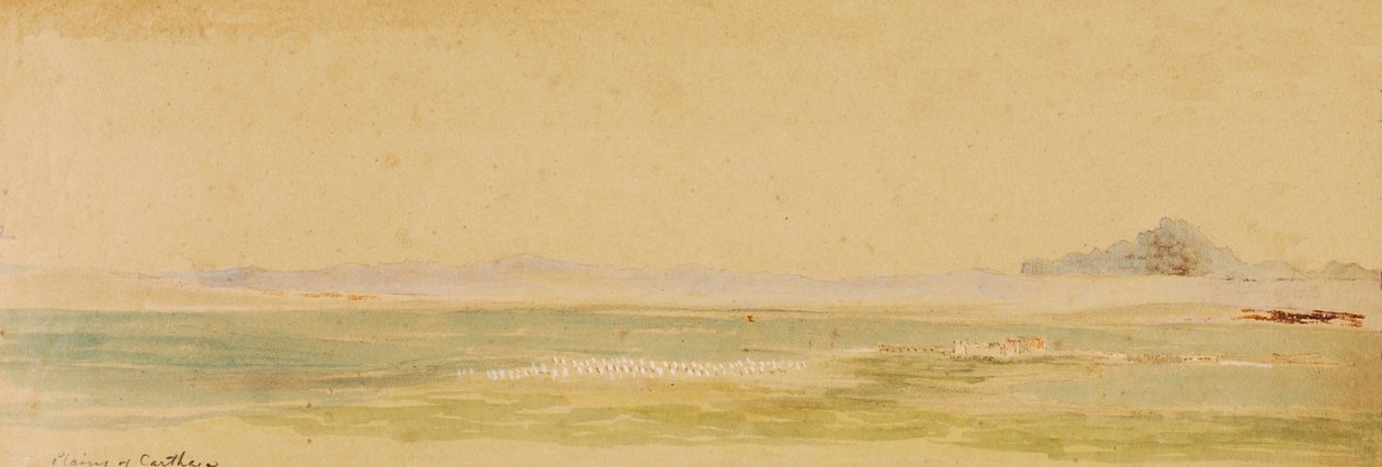 迦太基平原，1854年。 作者 矿工基尔伯恩·凯洛格