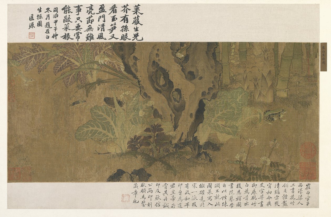 竹子，青蛙和昆虫 作者 明代中文学校