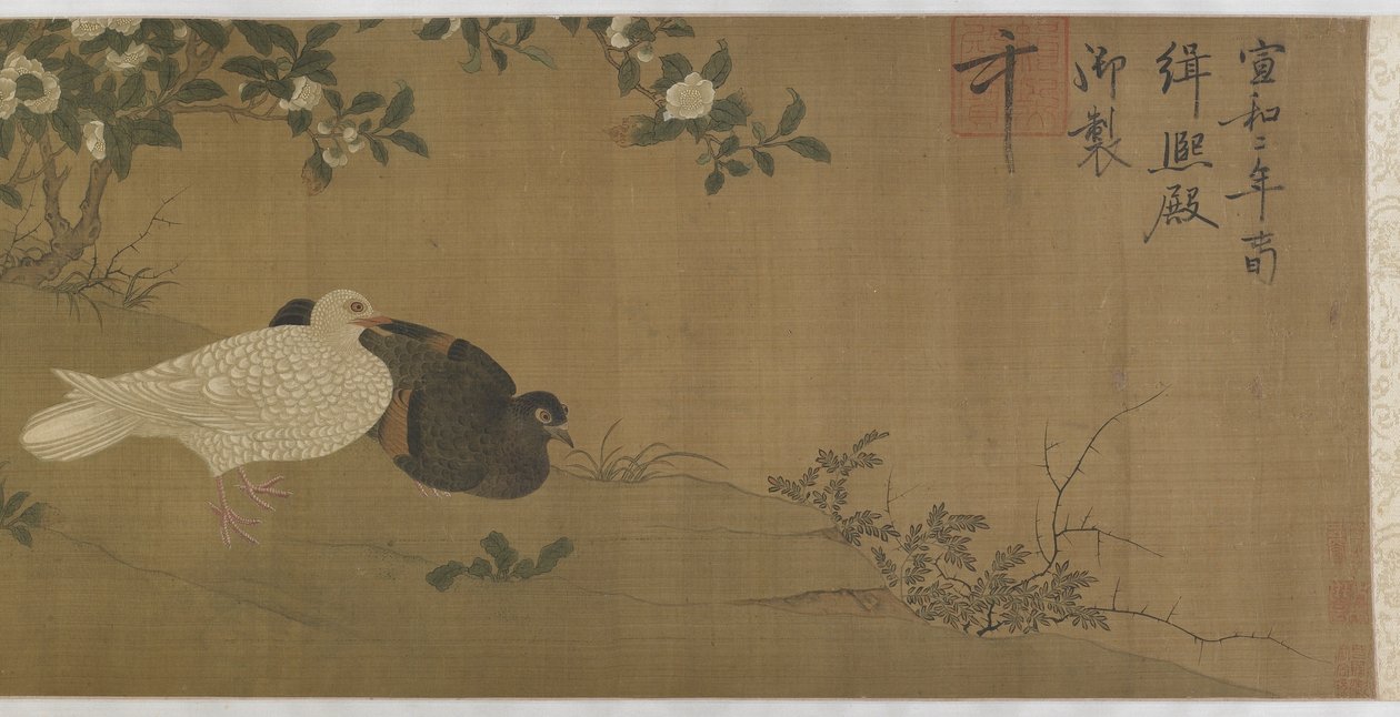Camelias，鸽子和歌鸟 作者 明代中文学校