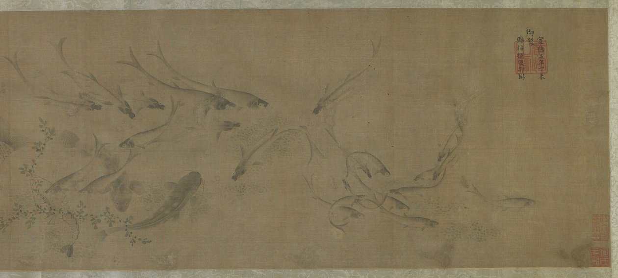 鱼和水杂草 作者 明代中文学校