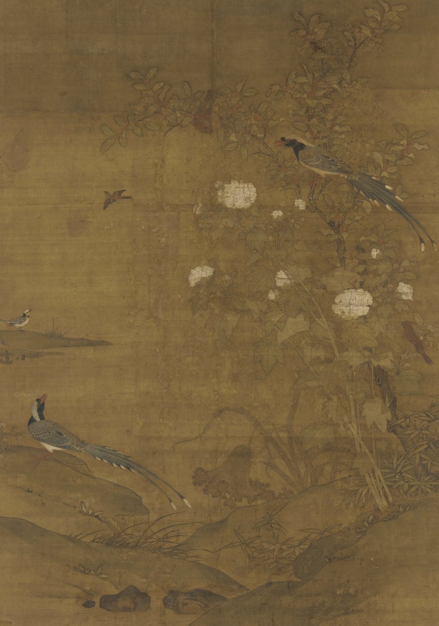喜鹊，雀，芙蓉和肉桂，c.1400 作者 明代中文学校